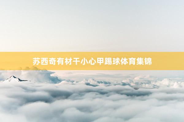 苏西奇有材干小心甲踢球体育集锦