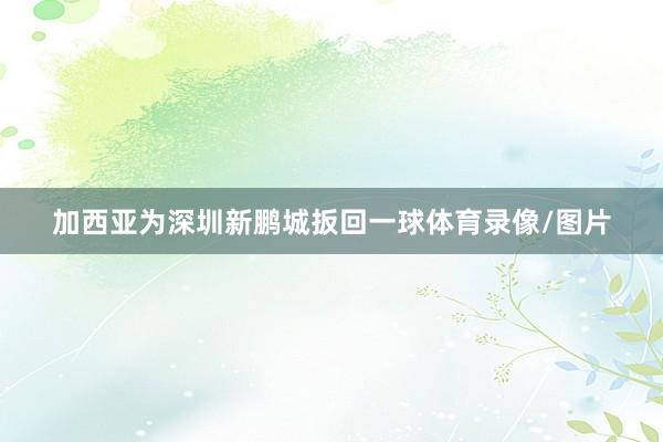 加西亚为深圳新鹏城扳回一球体育录像/图片