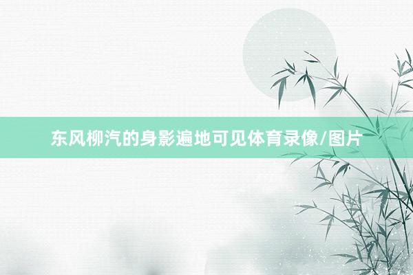 东风柳汽的身影遍地可见体育录像/图片