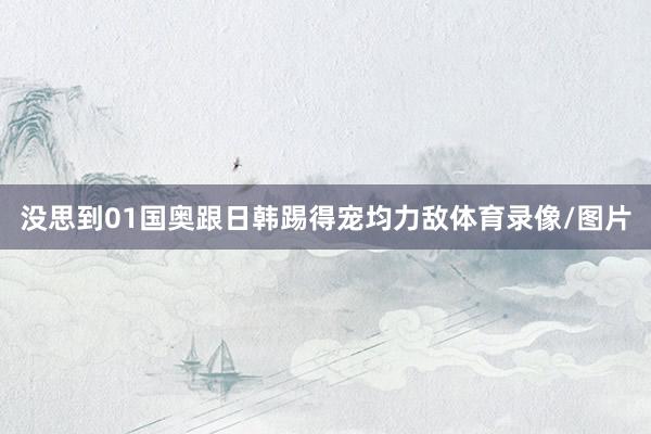 没思到01国奥跟日韩踢得宠均力敌体育录像/图片