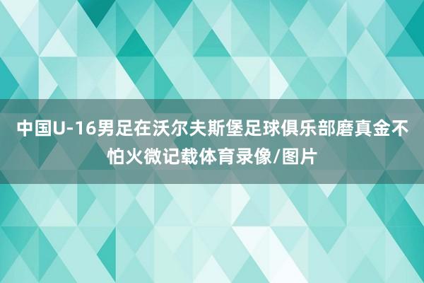 中国U-16男足在沃尔夫斯堡足球俱乐部磨真金不怕火微记载体育录像/图片