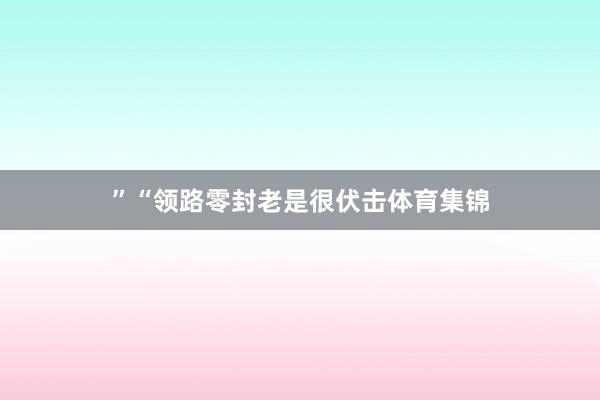 ”“领路零封老是很伏击体育集锦