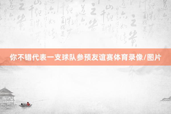 你不错代表一支球队参预友谊赛体育录像/图片