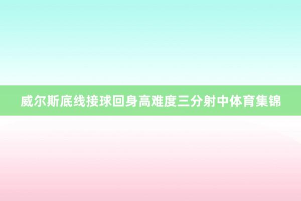 威尔斯底线接球回身高难度三分射中体育集锦