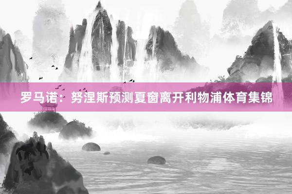 罗马诺：努涅斯预测夏窗离开利物浦体育集锦