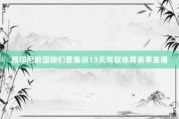 踢印尼前国脚们要集训13天驾驭体育赛事直播