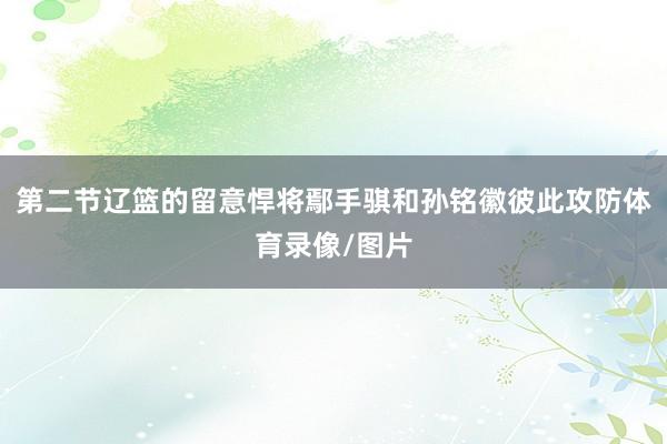第二节辽篮的留意悍将鄢手骐和孙铭徽彼此攻防体育录像/图片