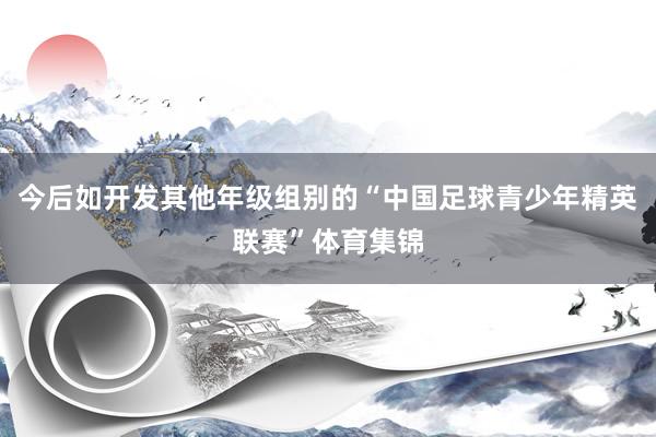 今后如开发其他年级组别的“中国足球青少年精英联赛”体育集锦
