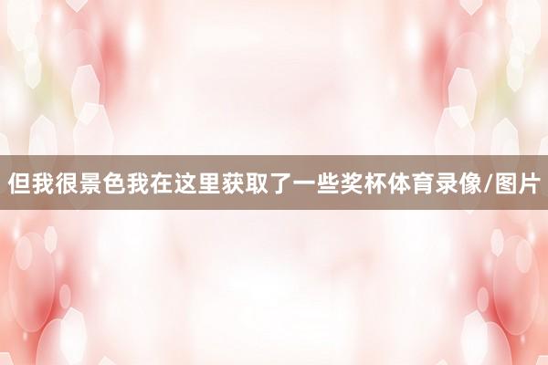 但我很景色我在这里获取了一些奖杯体育录像/图片