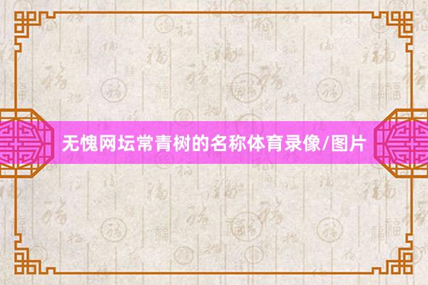 无愧网坛常青树的名称体育录像/图片