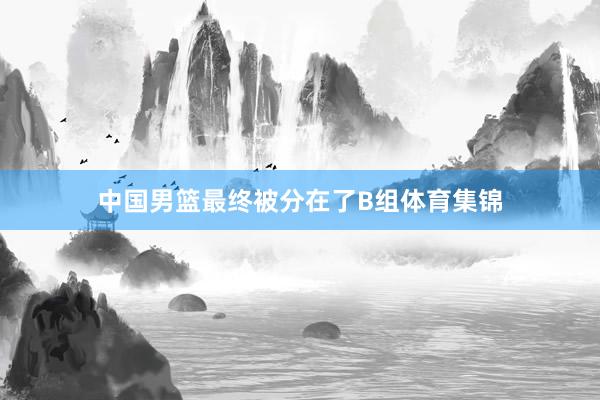 中国男篮最终被分在了B组体育集锦