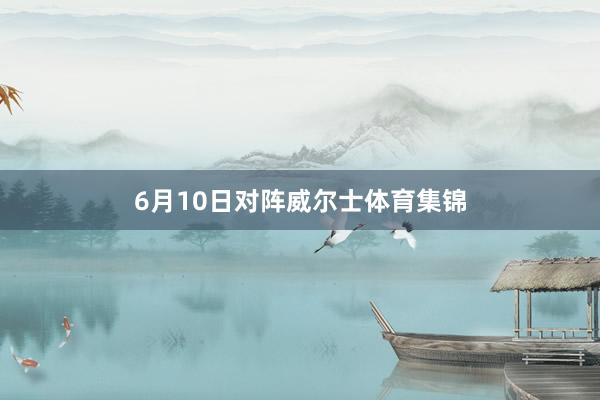 6月10日对阵威尔士体育集锦