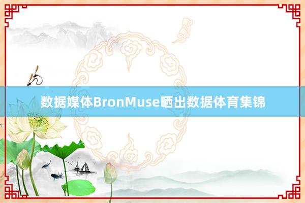 数据媒体BronMuse晒出数据体育集锦