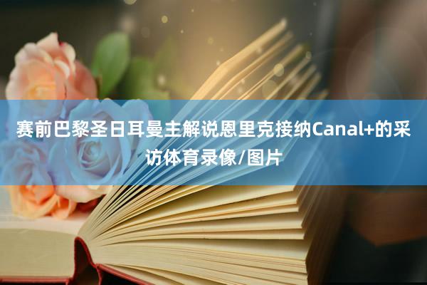 赛前巴黎圣日耳曼主解说恩里克接纳Canal+的采访体育录像/图片