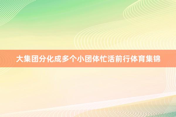 大集团分化成多个小团体忙活前行体育集锦