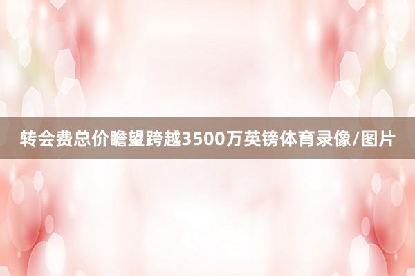 转会费总价瞻望跨越3500万英镑体育录像/图片
