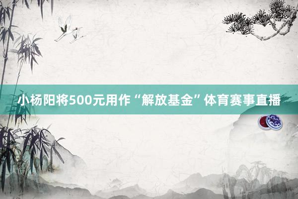 小杨阳将500元用作“解放基金”体育赛事直播