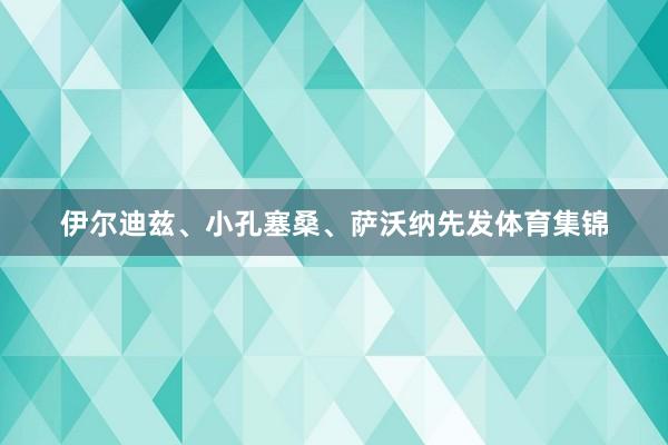 伊尔迪兹、小孔塞桑、萨沃纳先发体育集锦
