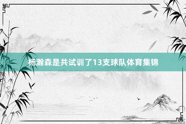 杨瀚森是共试训了13支球队体育集锦