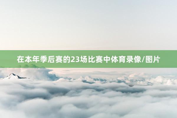 在本年季后赛的23场比赛中体育录像/图片