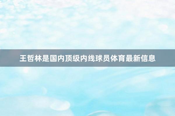 王哲林是国内顶级内线球员体育最新信息