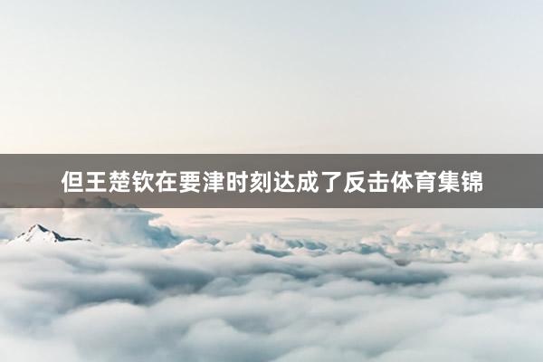 但王楚钦在要津时刻达成了反击体育集锦