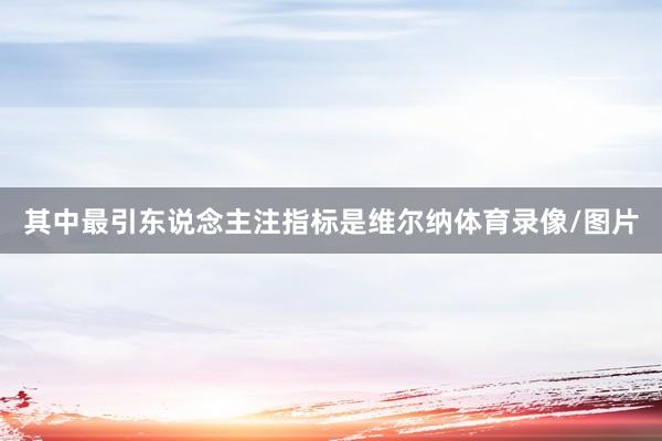其中最引东说念主注指标是维尔纳体育录像/图片