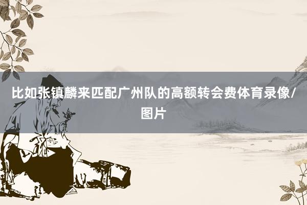 比如张镇麟来匹配广州队的高额转会费体育录像/图片