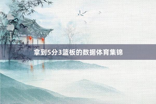 拿到5分3篮板的数据体育集锦
