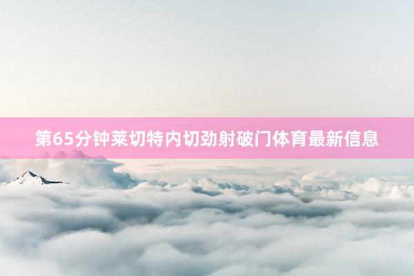 第65分钟莱切特内切劲射破门体育最新信息