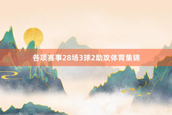 各项赛事28场3球2助攻体育集锦