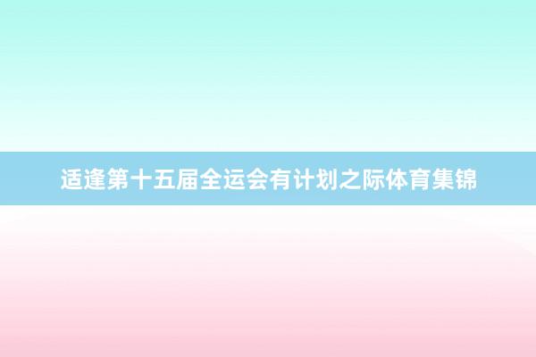 适逢第十五届全运会有计划之际体育集锦