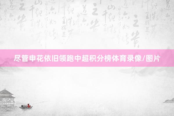 尽管申花依旧领跑中超积分榜体育录像/图片
