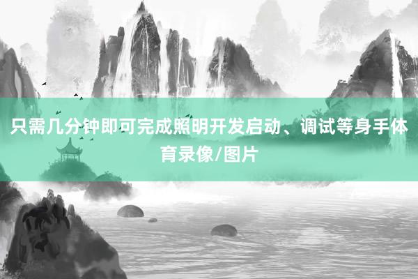 只需几分钟即可完成照明开发启动、调试等身手体育录像/图片