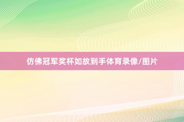 仿佛冠军奖杯如故到手体育录像/图片