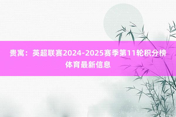贵寓:英超联赛2024-2025赛季第11轮积分榜体育最新信息