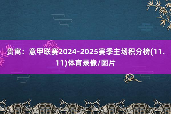 贵寓:意甲联赛2024-2025赛季主场积分榜(11.11)体育录像/图片