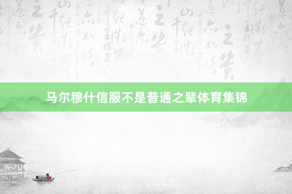 马尔穆什信服不是普通之辈体育集锦