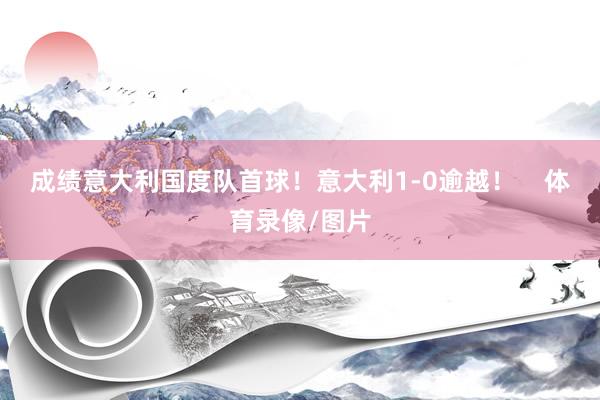 成绩意大利国度队首球！意大利1-0逾越！    体育录像/图片