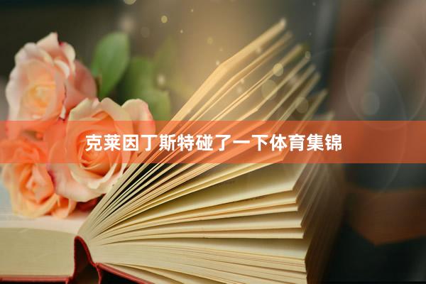 克莱因丁斯特碰了一下体育集锦