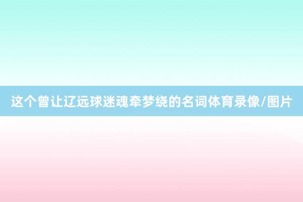 这个曾让辽远球迷魂牵梦绕的名词体育录像/图片