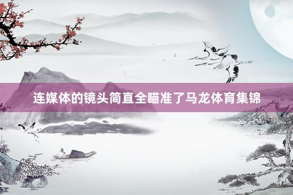 连媒体的镜头简直全瞄准了马龙体育集锦