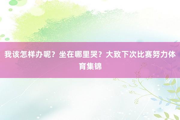 我该怎样办呢？坐在哪里哭？大致下次比赛努力体育集锦