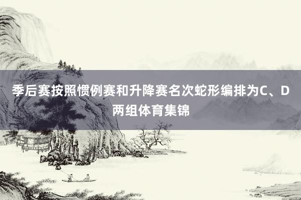 季后赛按照惯例赛和升降赛名次蛇形编排为C、D两组体育集锦