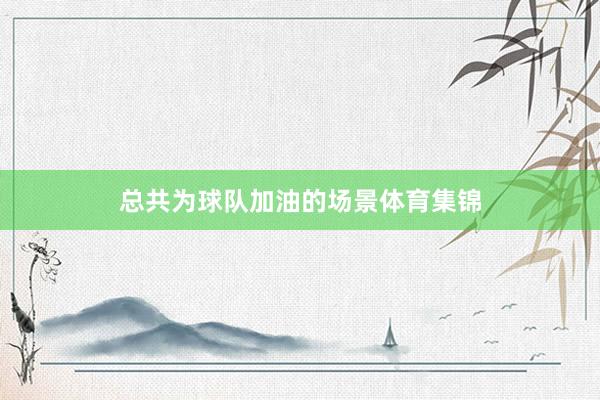总共为球队加油的场景体育集锦