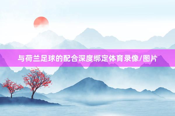 与荷兰足球的配合深度绑定体育录像/图片