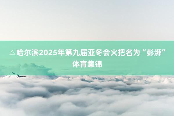 △哈尔滨2025年第九届亚冬会火把名为“彭湃”体育集锦