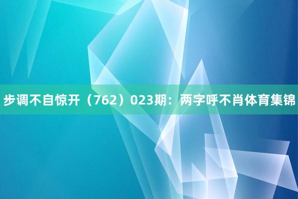 步调不自惊开（762）　　023期：两字呼不肖体育集锦