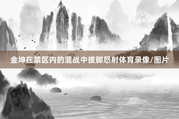 金坤在禁区内的混战中拔脚怒射体育录像/图片