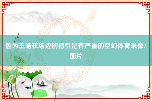 因为王皓在场边的指引是有严重的空幻体育录像/图片